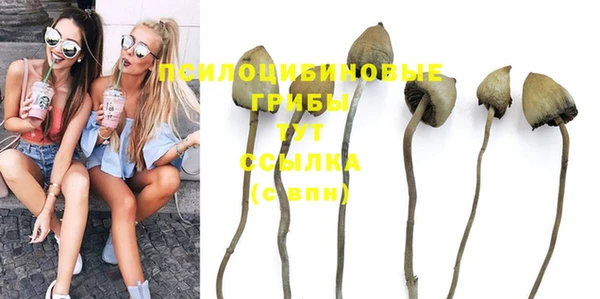 сатива Инсар