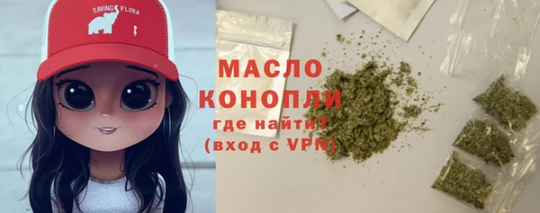 сатива Инсар