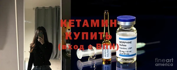 сатива Инсар