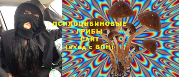 шишки Иннополис