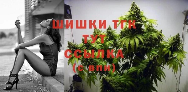 сатива Инсар