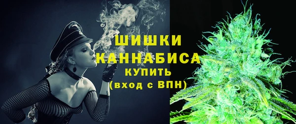 шишки Иннополис