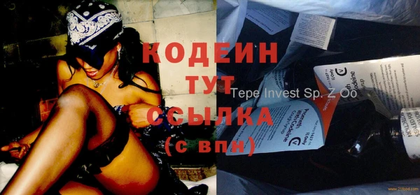 сатива Инсар