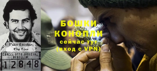 шишки Иннополис